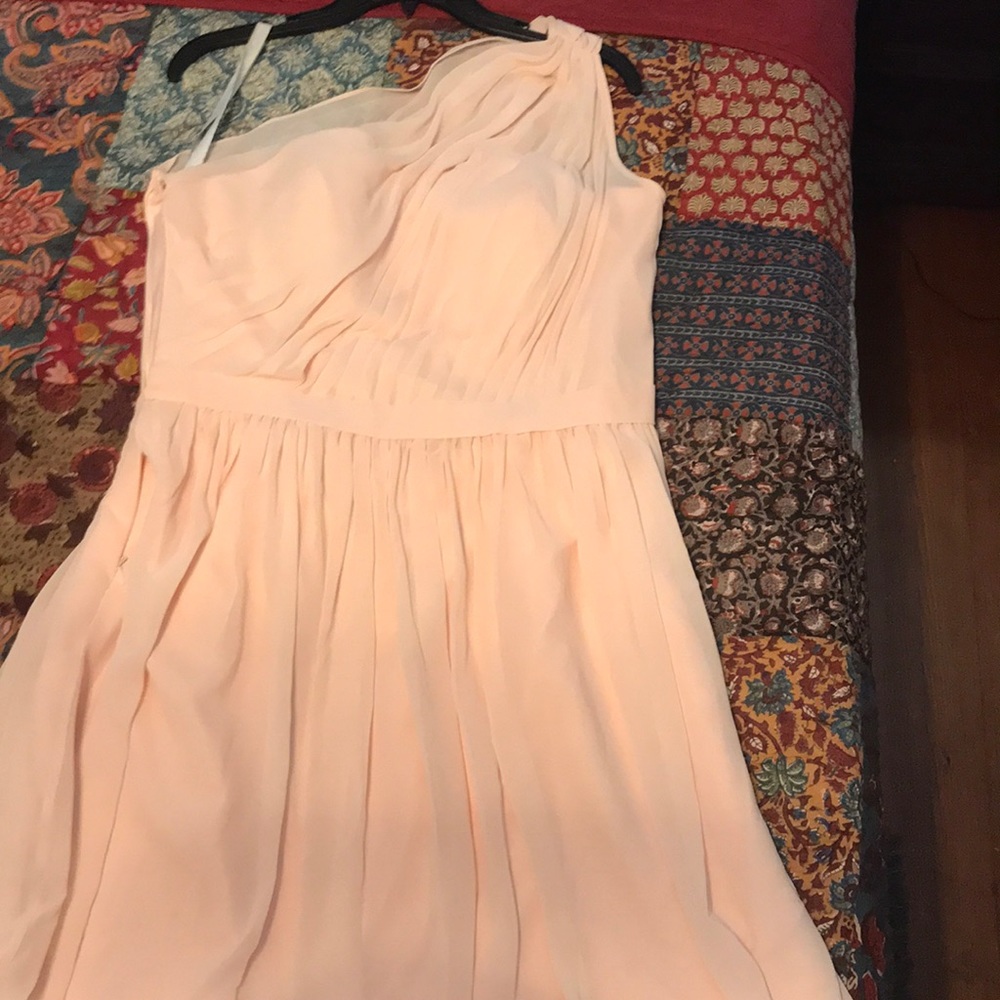 Bill Levkoff bridesmaids dress in blush